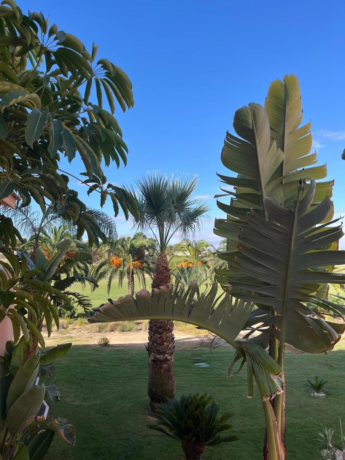 La Casa Soleada Mar Menor Golf & Padel Apartment *